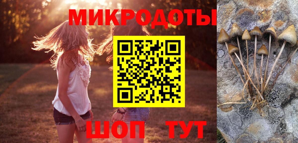 Галлюциногенные грибы мицелий  Галлюциногенные грибы Cubensis  Вход с VPN  Зеленокумск 
